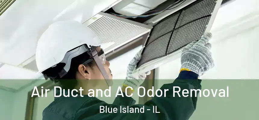 Air Duct and AC Odor Removal Blue Island - IL