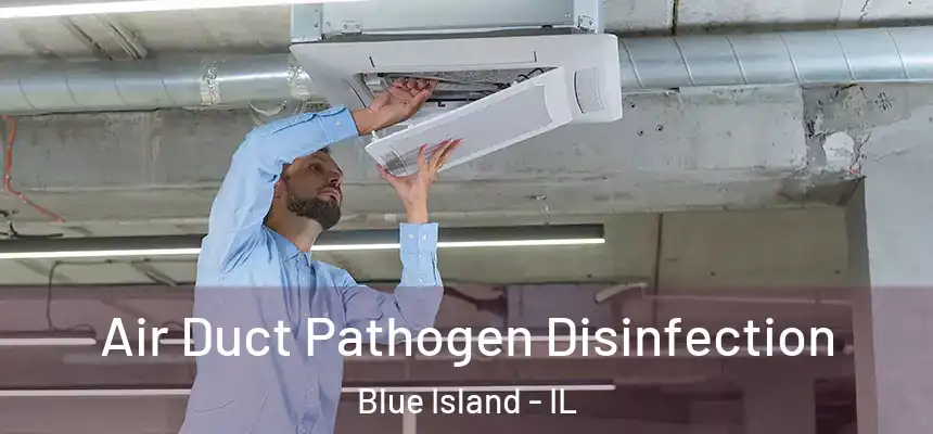 Air Duct Pathogen Disinfection Blue Island - IL