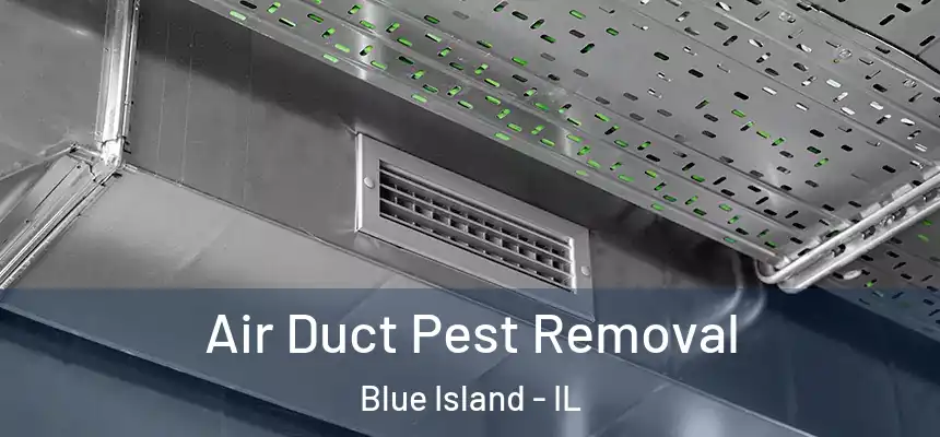 Air Duct Pest Removal Blue Island - IL