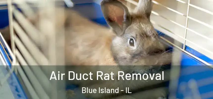  Air Duct Rat Removal Blue Island - IL