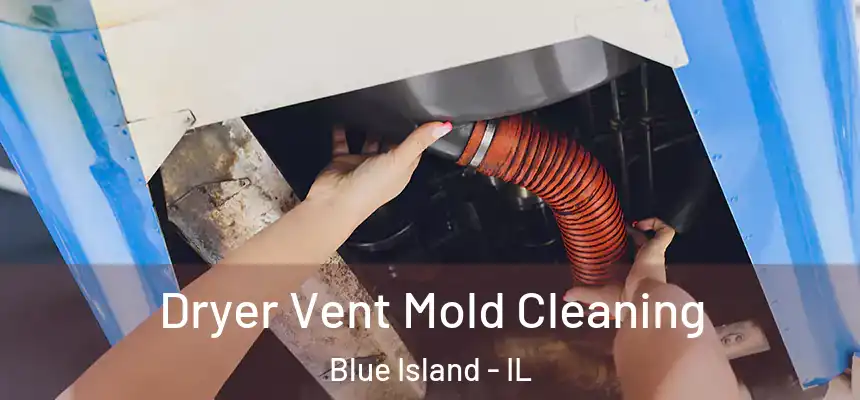 Dryer Vent Mold Cleaning Blue Island - IL