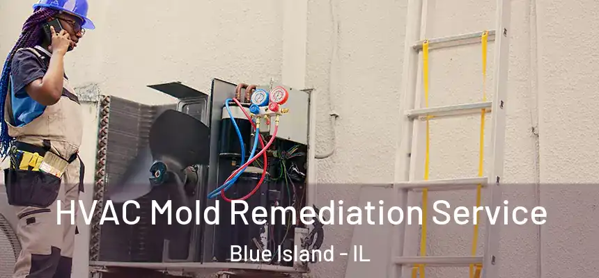  HVAC Mold Remediation Service Blue Island - IL
