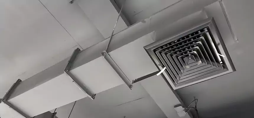 Our Rodent Droppings In Vents Services in Blue Island, IL