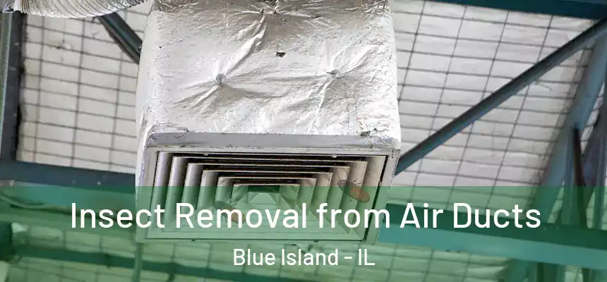 Insect Removal from Air Ducts Blue Island - IL