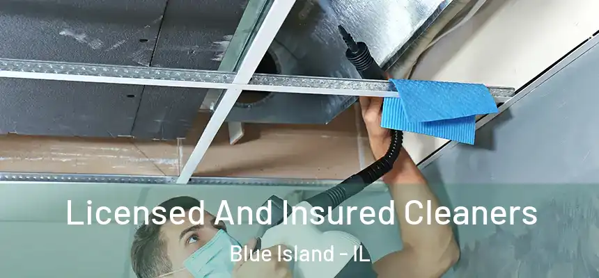 Licensed And Insured Cleaners Blue Island - IL