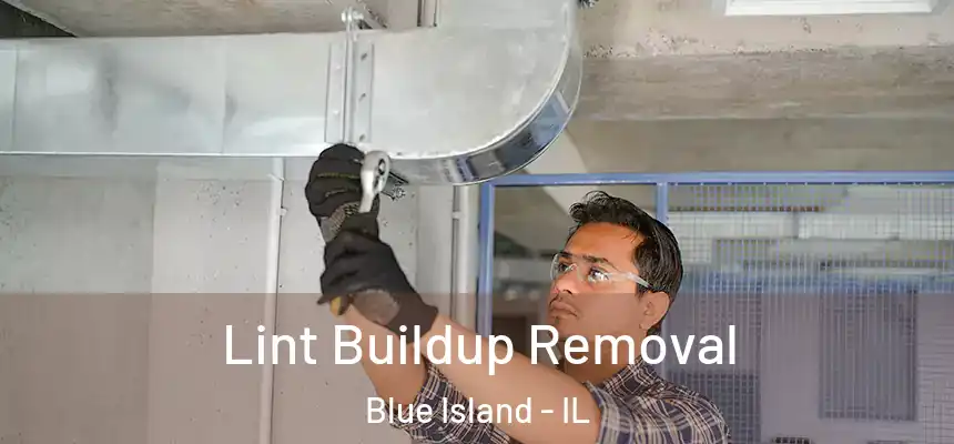  Lint Buildup Removal Blue Island - IL