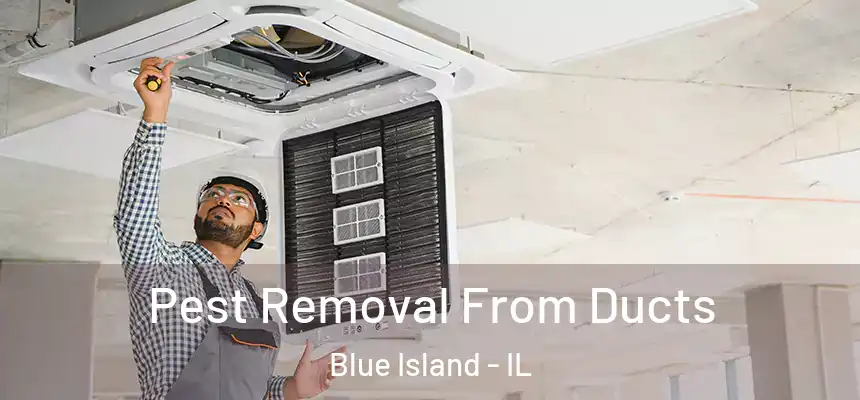 Pest Removal From Ducts Blue Island - IL