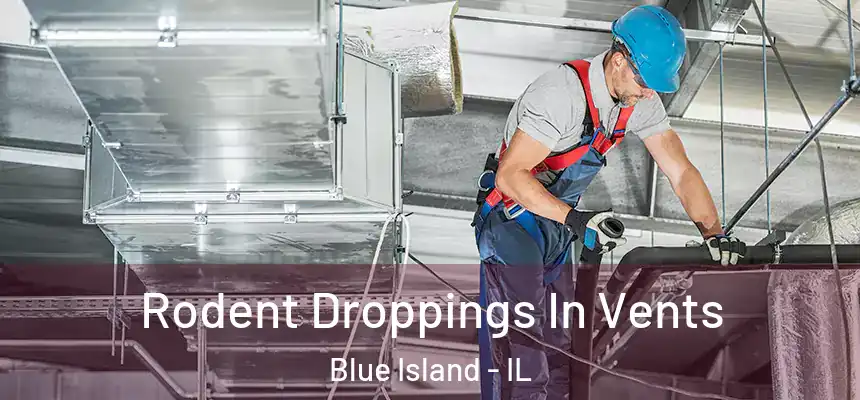 Rodent Droppings In Vents Blue Island - IL