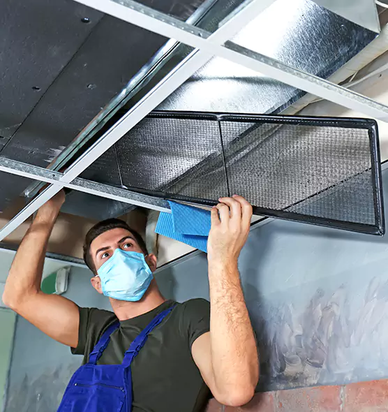 About Air Duct Bacteria Removal in Blue Island