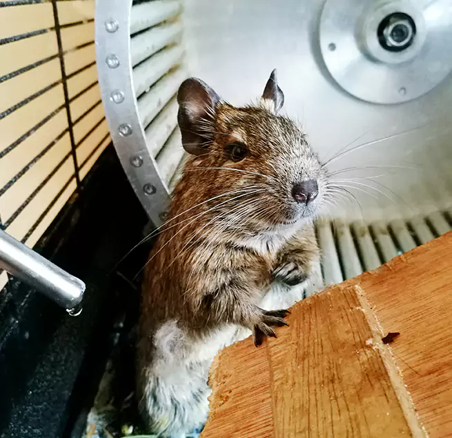 Why Homeowners & Businesses Trust Us Blue Island, IL?