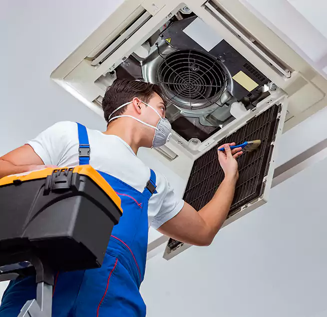 Why Homeowners & Businesses Trust Us in Blue Island, IL?