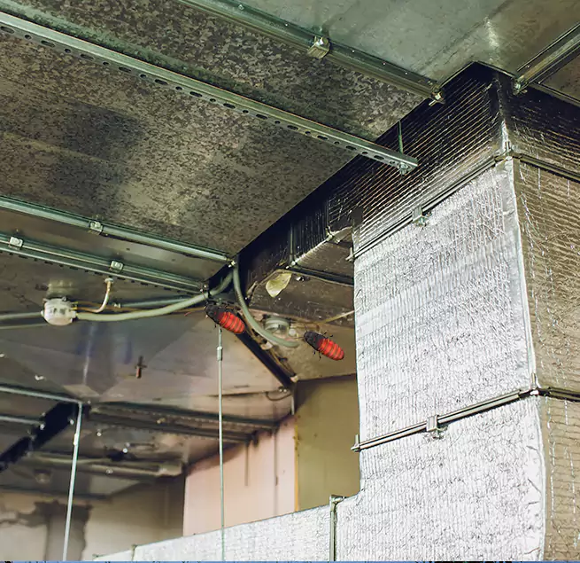 Why Homeowners & Businesses Trust Us Blue Island, IL?