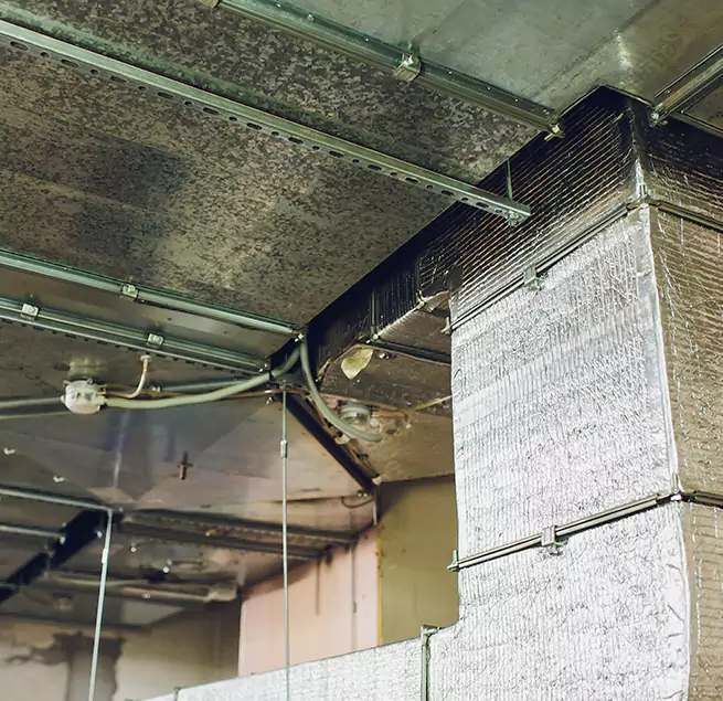 Why Homeowners & Businesses Trust Us in Blue Island, IL?