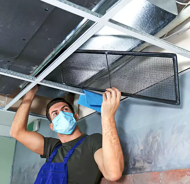 Why Homeowners Businesses Trust Us in Blue Island, IL